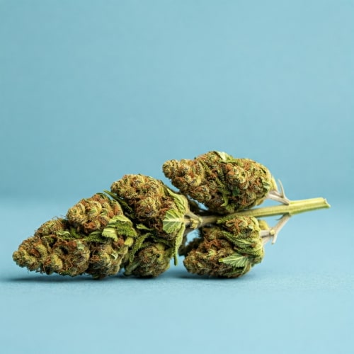 Lagliga cannabisprodukter i Sverige